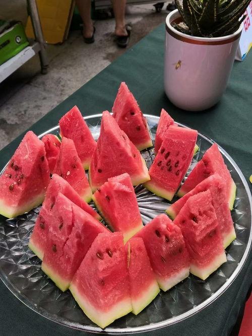 香港人吃硒砂瓜视频,短视频展示地道美食新风尚