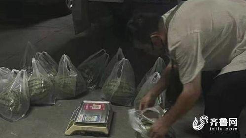 山东东营吃瓜事件视频播放,视频走红网络，真相引发热议