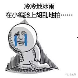 吃瓜视频父亲节,吃瓜视频里的温馨瞬间，致敬伟大的父亲们