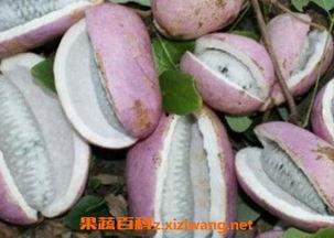 利川恩施吃瓜事件视频,一场引发热议的网络风波