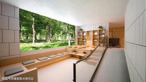 翰林府售楼处视频吃瓜,揭秘豪宅背后的吃瓜故事