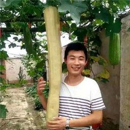 三个小伙吃瓜视频大全