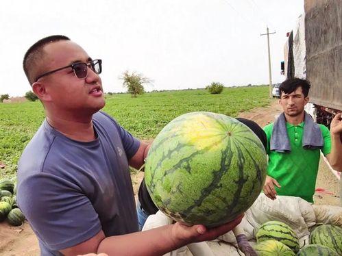 各类吃瓜事件图片高清视频,高清图视频深度解析